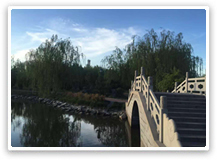 廠區(qū)風(fēng)景